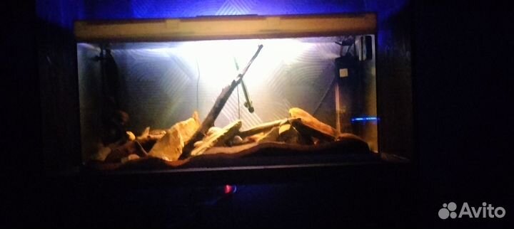 Аквариум