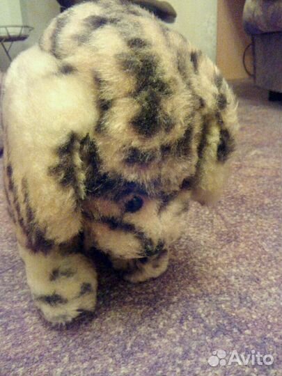 Вот такая псина времен СССР