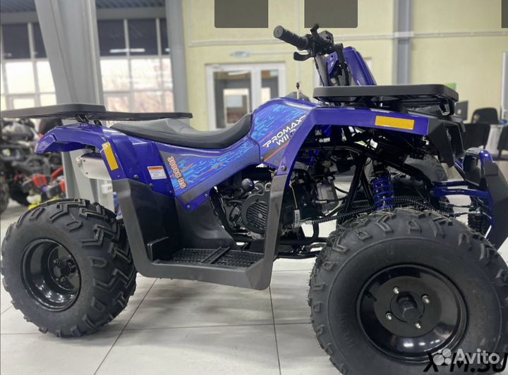 Квадроцикл promax wild 300