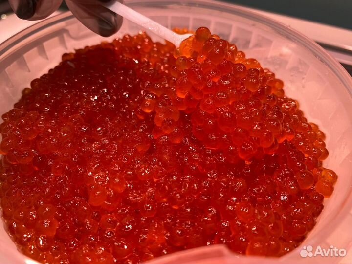 Красная икра. Опт