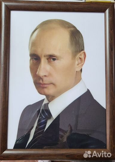 Портрет Путин В.В. Медведев Д.А