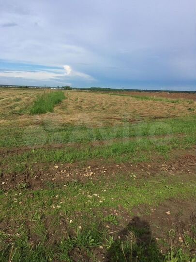 Участок 4,9 га (СНТ, ДНП)