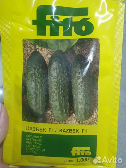 Семена Огурец Казбек 1000с Семиллас Фито