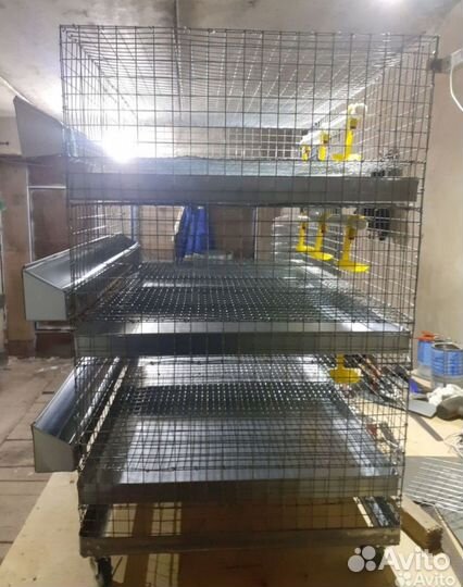 Клетки для перепелов