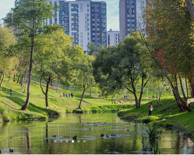 1-к. квартира, 29,4 м², 4/14 эт.