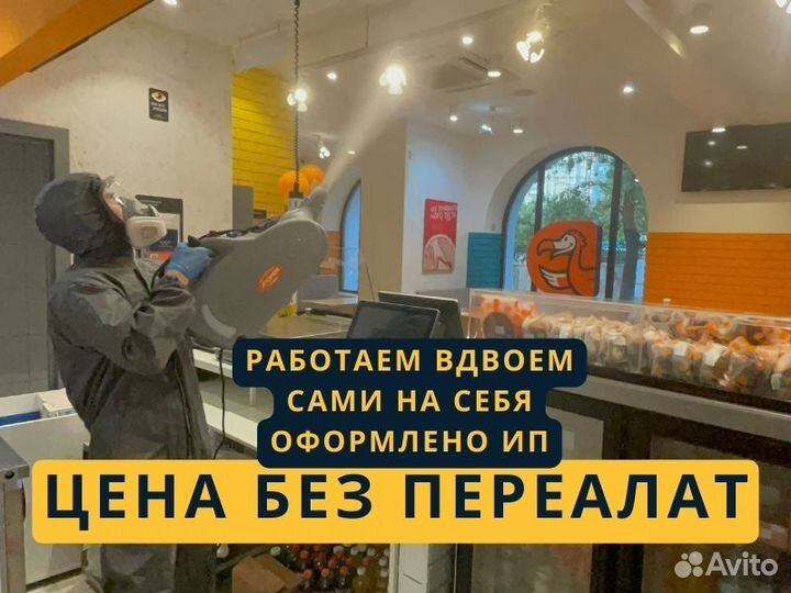 Уничтожение тараканов Уничтожения клопов