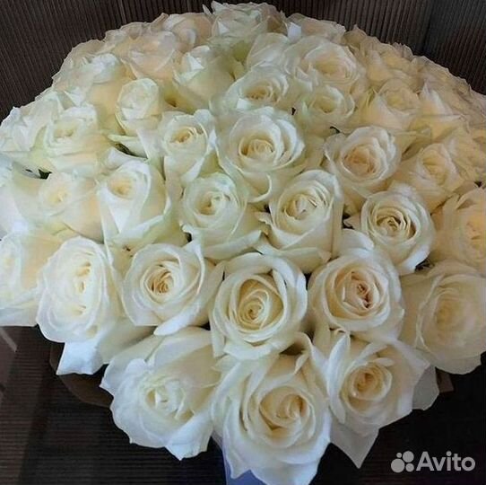 Высокие Розы с Доставкой