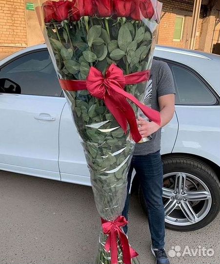 Розы гиганты 140 150 160 170 180 200