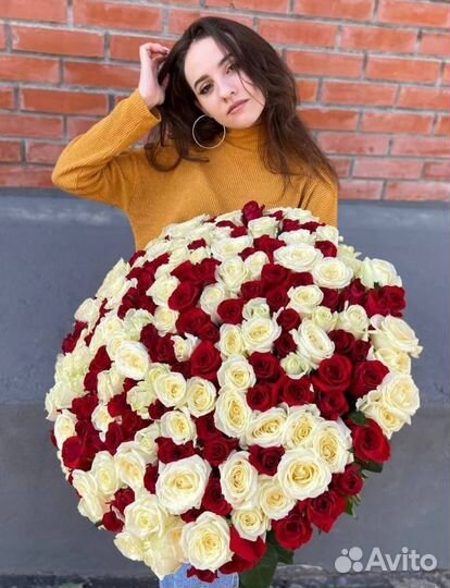 Букет голландских роз 101 шт