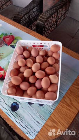 Домашние куриные яйца