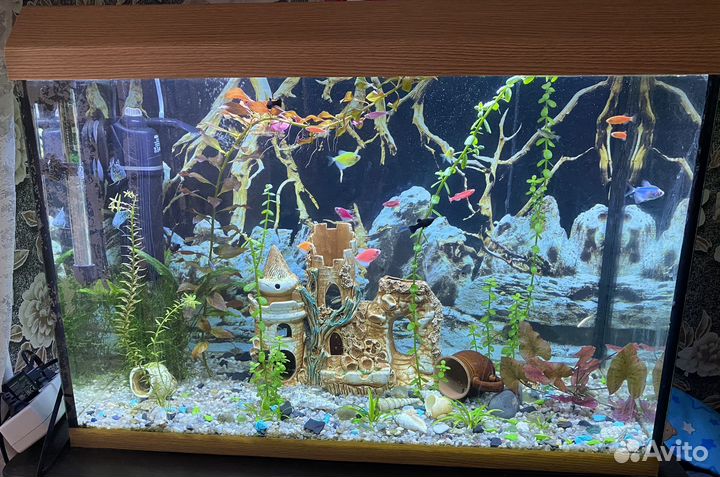 Аквариум с рыбками