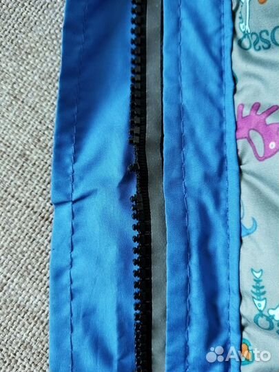 Костюм для собаки