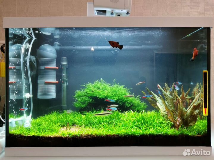 Аквариум с рыбками бу