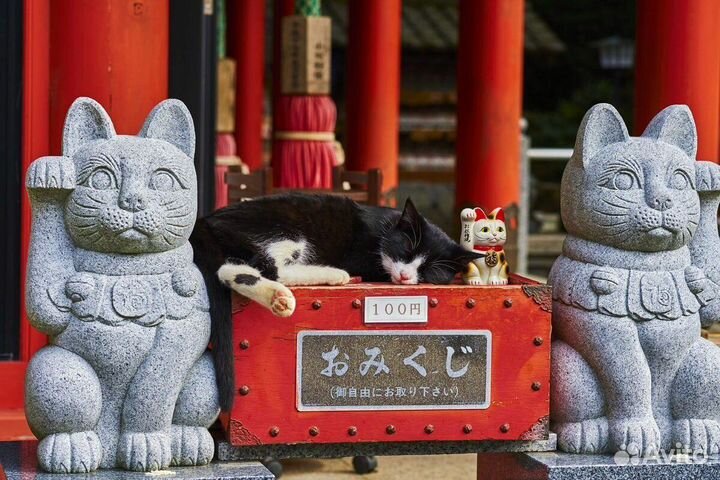 Доставка товаров из Китая с гарантией