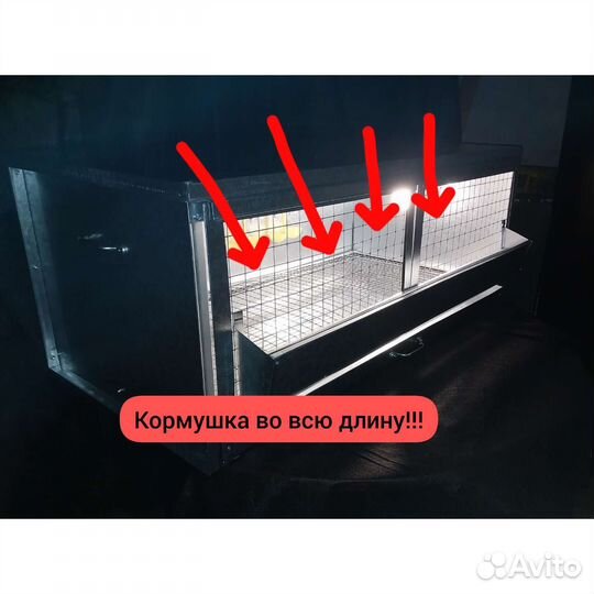 Брудер на 50-70 суточных цыплят