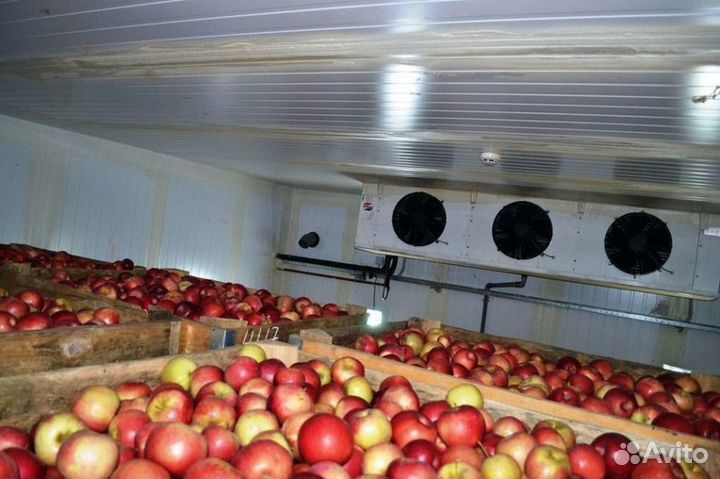 Холодная камера для овощей и фруктов. В наличии