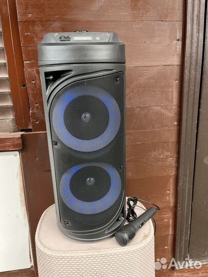 Колонка с микрофоном 50см