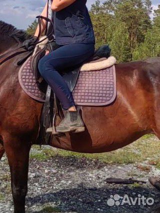 Конные бриджи