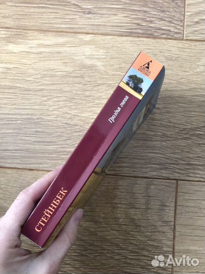 Джон Стейнбек Гроздья гнева