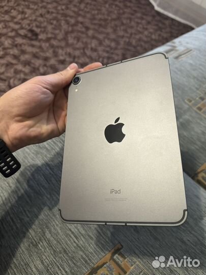 iPad mini 6 256 cellular