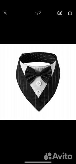 Костюм-ошейник