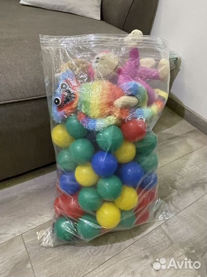 Отдам бесплатно