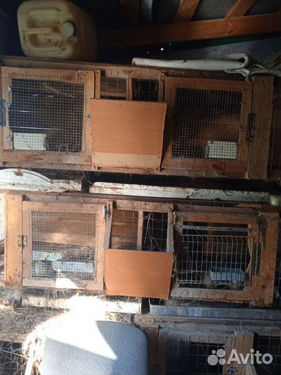 Клетки для кроликов бу