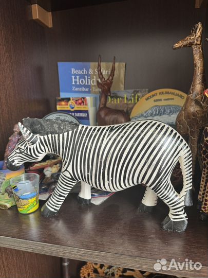 Зебра Танзания