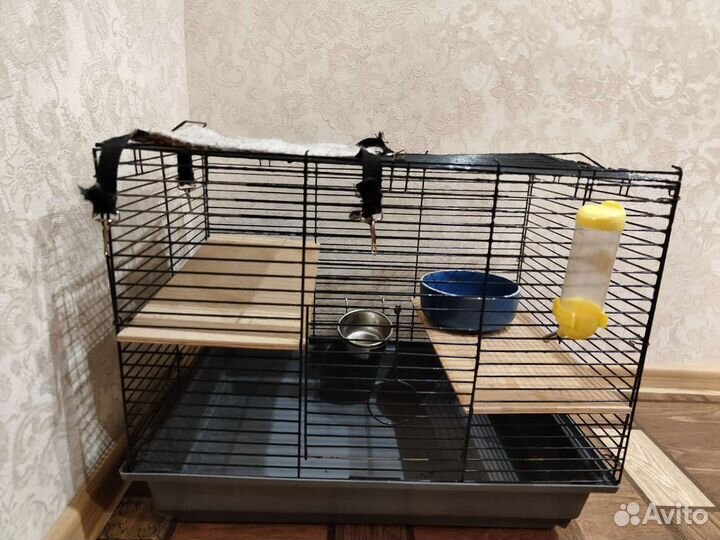 Клетка и все необходимое для шиншилл