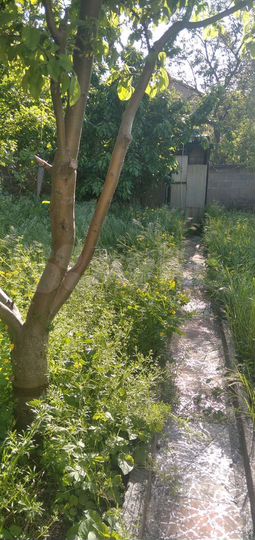 2-к. квартира, 30 м², 1/2 эт.