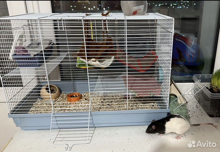 Клетка для грызунов