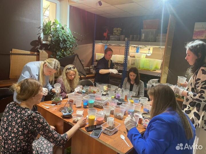 Корпоративный мастер-класс Флорариум