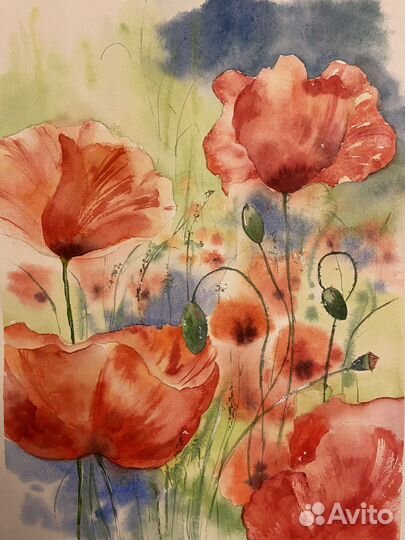 Картины акварелью серия Маки