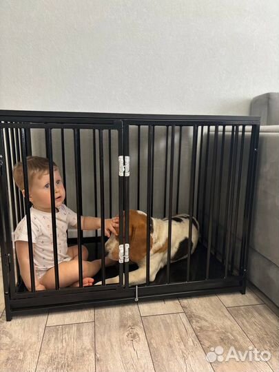 Клетка для собак антивандальная