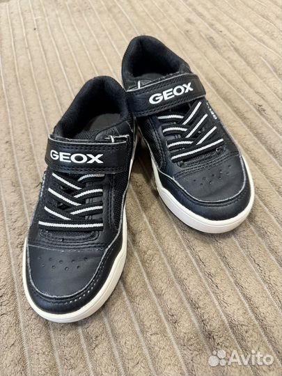 Кеды, кроссовки geox
