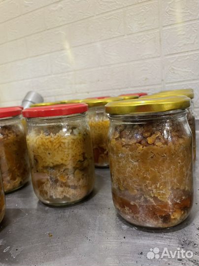 Домашняя тушенка