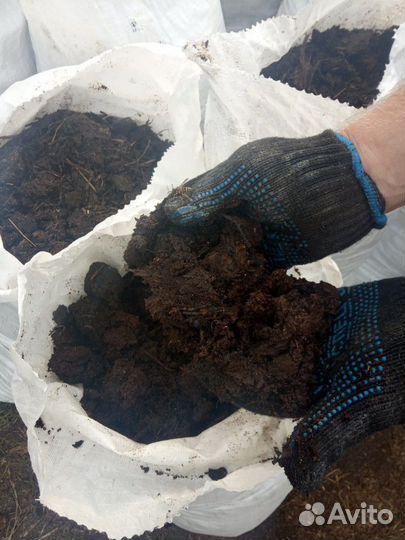 Перегной - навоз