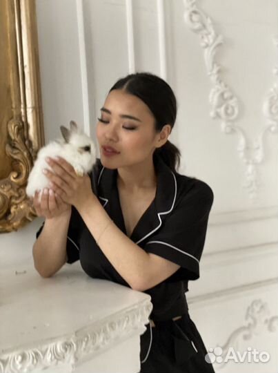 Кролики большой выбор