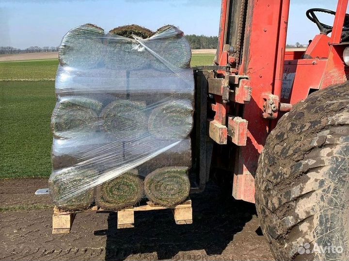 Натуральный газон с поля с доставкой