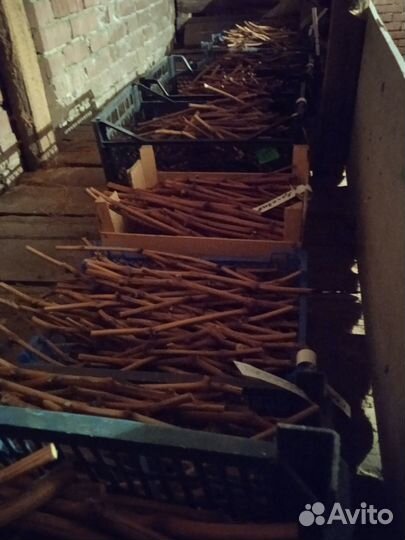 Черенки (чебуки) винограда