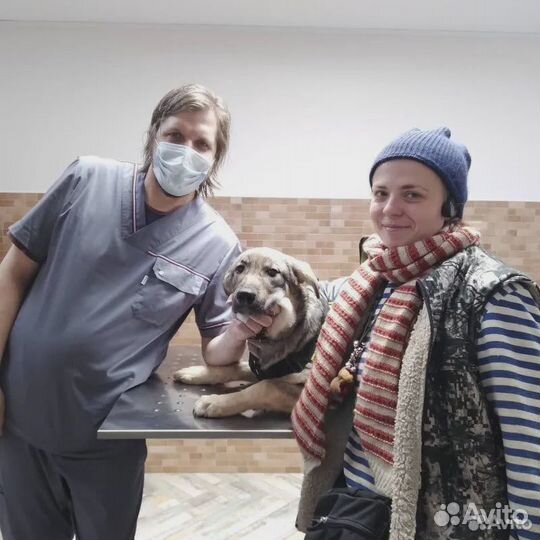 Ветеринарный врач на дом круглосуточно