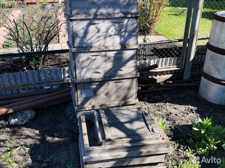 Все для разведения пчёл