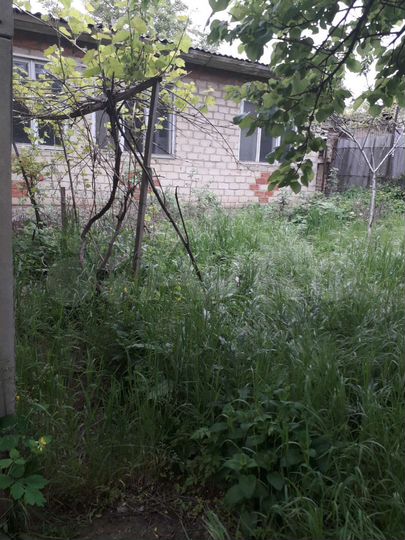 Участок 4 сот. (ИЖС)