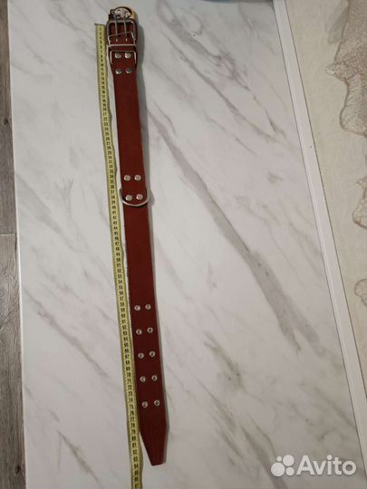 Ошейник для собак