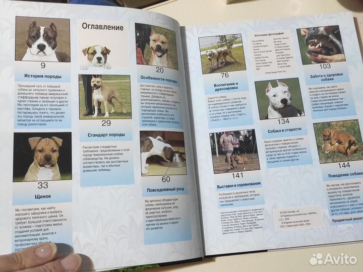 Книга американский стаффордширский терьер