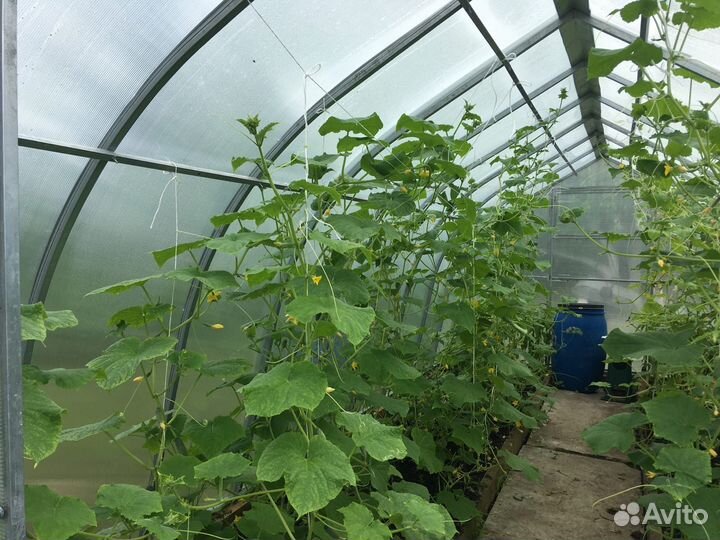 Каркас теплицы «Арочная»