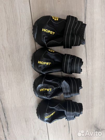 Ботинки для собак