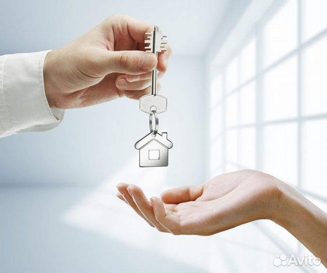 Управление гостиницами, домами и квартима