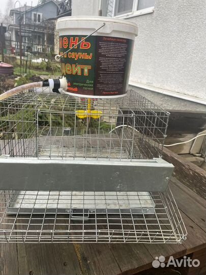 Клетки для перепелов бу