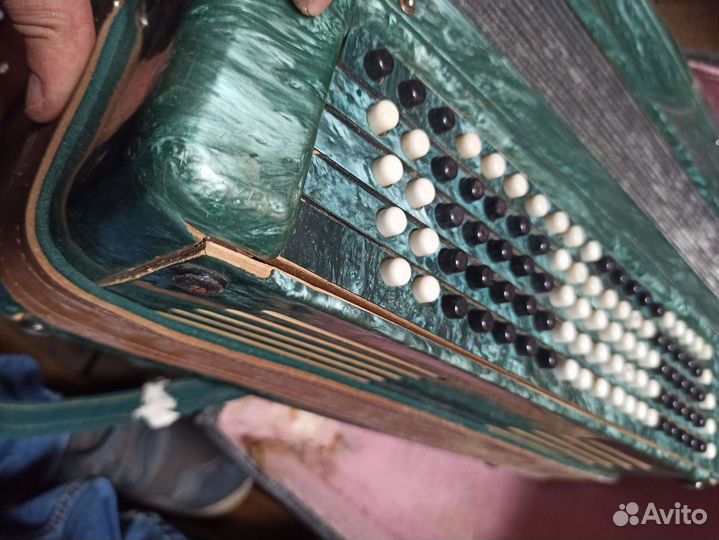 Баян тульский